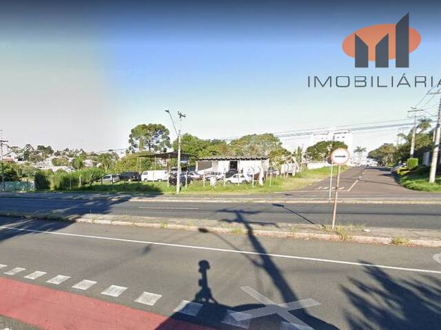Terreno Av Paraná Boa vista