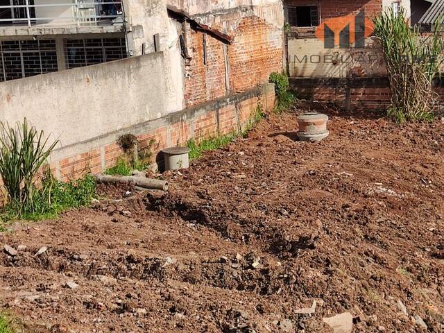 Terreno para Venda em Curitiba - 4