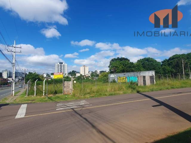 #OLX198 - Terreno para Venda em Curitiba - PR - 1