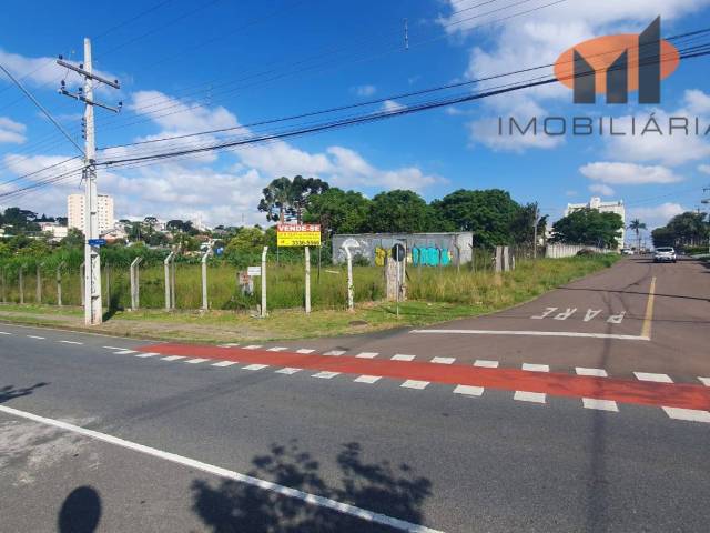 #OLX198 - Terreno para Venda em Curitiba - PR - 3