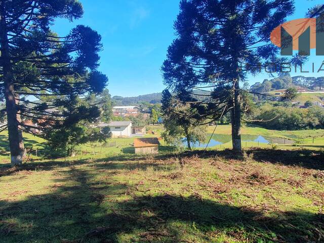 Área para Venda em Almirante Tamandaré - 4