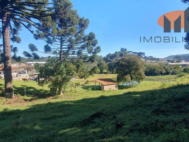 #213 - Área para Venda em Almirante Tamandaré - PR